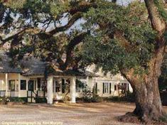 a white house sitting next to a large tree in the middle of a road with lots of trees around it