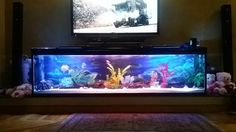 a fish tank sitting on top of a wooden floor in front of a flat screen tv