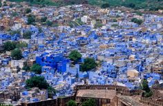 the blue city is surrounded by trees and buildings, all in one area that looks like it's been built on land