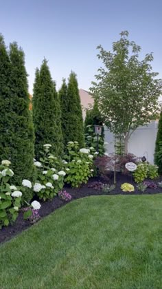 a garden with white flowers and trees in the back yard at dusk, surrounded by lush green grass