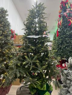 christmas trees are lined up in the store