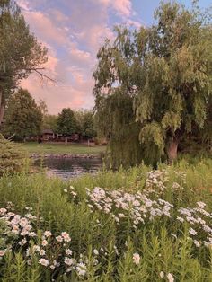 a pond surrounded by trees and flowers