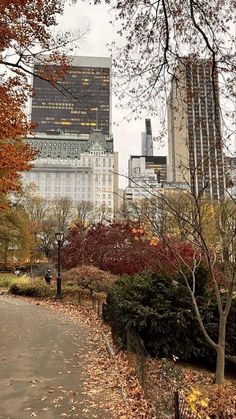 the city is full of tall buildings and trees with leaves all over it's ground