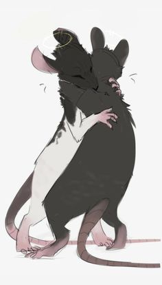 two black and white mice hugging each other with their tails wrapped around one another's back