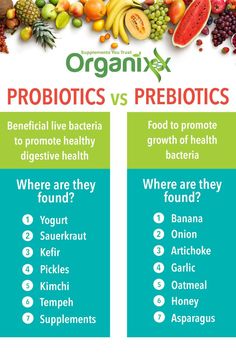 Best Prebiotic Foods, Probiotics And Prebiotics, Healthy Bacteria, Health Information, Low Fat Diets, Healthy Smoothie