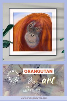 an orange orangutan is hanging on the wall next to a blue and white background