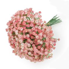 a bouquet of pink flowers on a white background