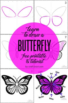 Learn to draw a butterfly Butterfly Anatomy, Butterfly Facts, Origami Paper Flowers, Bullet Journal Pages, Flower Templates Printable