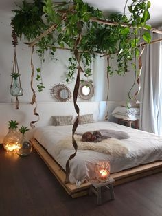 a bed with plants hanging from it's sides and lights on the floor next to it