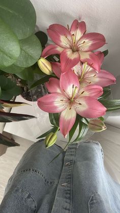 a vase with pink flowers in it sitting on a person's lap next to a potted plant