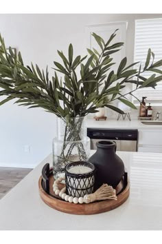 there is a plant in a glass vase on the counter next to some other items