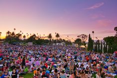 a large group of people sitting on top of a lush green field next to palm trees