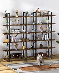 a cat sitting on the floor in front of a bookcase with many shelves and books