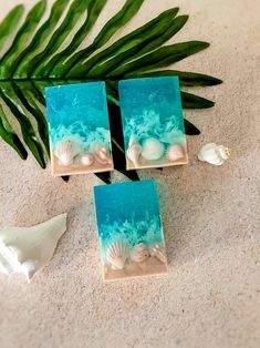 three soap bars with seashells and seaweed on them next to a plant