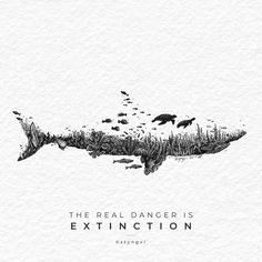 the real danger is extingction poster with an image of a shark swimming in water