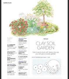 an illustrated diagram of how to plant clay soil in the garden, with instructions for each section