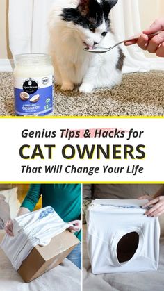 a cat eating out of a box with the caption genius tips & hacks for cat owners that will change your life