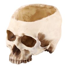 there is a fake human skull in the shape of a cup that has been turned upside down