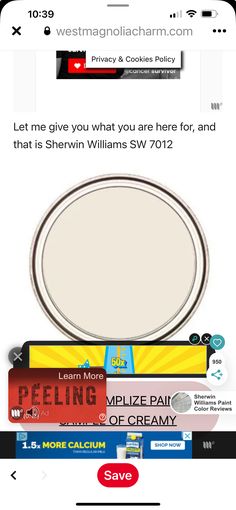 the screen shot shows an image of a plate and some other items