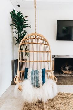 a living room with a hanging chair and television