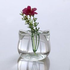 a glass vase filled with water and a single pink flower in it's center