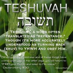 a poster with the words teshuvah and an image of green leaves in hebrew