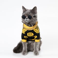 a gray cat wearing sunglasses and a sweater