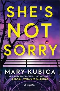 the cover of she's not sorry by mary kubica, with an image of