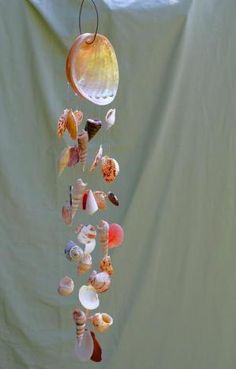 a wind chime with seashells hanging from it