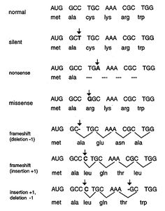 some type of language that is written in different languages and has been modified to include the following words