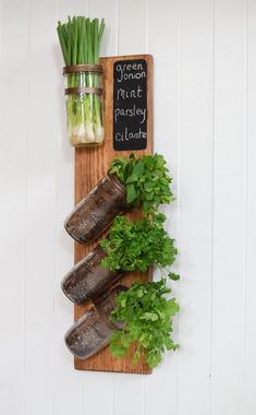 herbs are growing on a wooden board next to mason jars