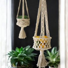 two macrame plant hangers with oranges and succulents in them