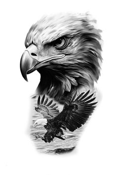 an eagle is shown in black and white