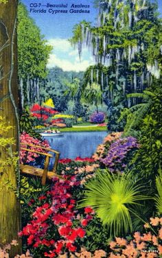 a painting of flowers and trees in the woods