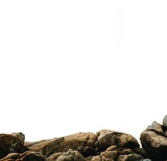 a man standing on top of a pile of rocks