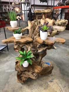 three potted plants are placed on top of a tree stump table in a shop