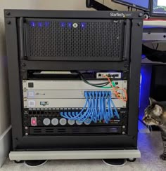 a cat sitting in front of a computer tower