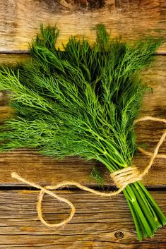 a bunch of fresh dill tied up on a wooden table