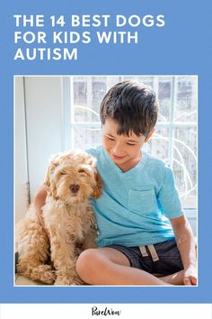 I spoke with multiple experts, including vets and trainers about how emotional support companion dogs can benefit kids on the autism spectrum. Here are 14 of the best dogs for kids with autism.