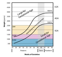 a graph shows the average age and percentage of gestations for different types of gestation