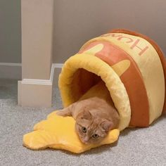 a cat laying in a dog bed on the floor