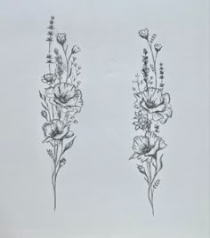 two drawings of flowers are shown in black and white