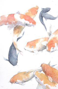 a group of orange and black koi fish in watercolor on white paper,