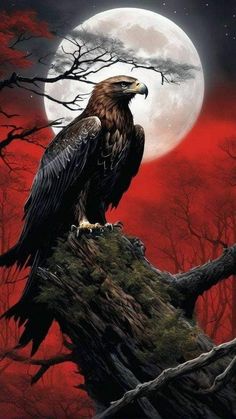 an eagle sitting on top of a tree branch in front of a full moon and red sky