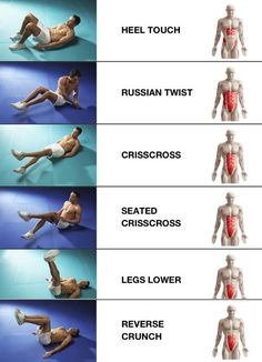 an image of the different muscles and their corresponding body parts on a cell phone screen