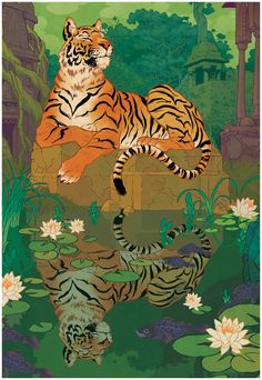 a tiger laying on top of a rock next to a body of water with lily pads