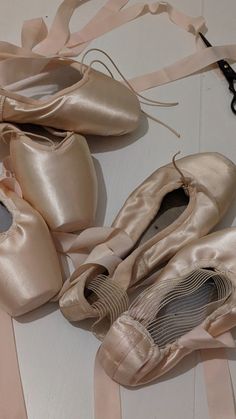 several pairs of ballet shoes are lined up on the floor