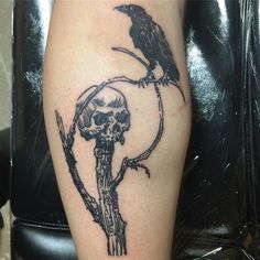 a black bird sitting on top of a tree branch with a skull in the middle