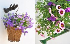 purple and white flowers are in a basket hanging on the wall next to a green watering can