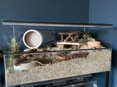 a fish tank filled with rocks and plants next to a white bowl on top of a table